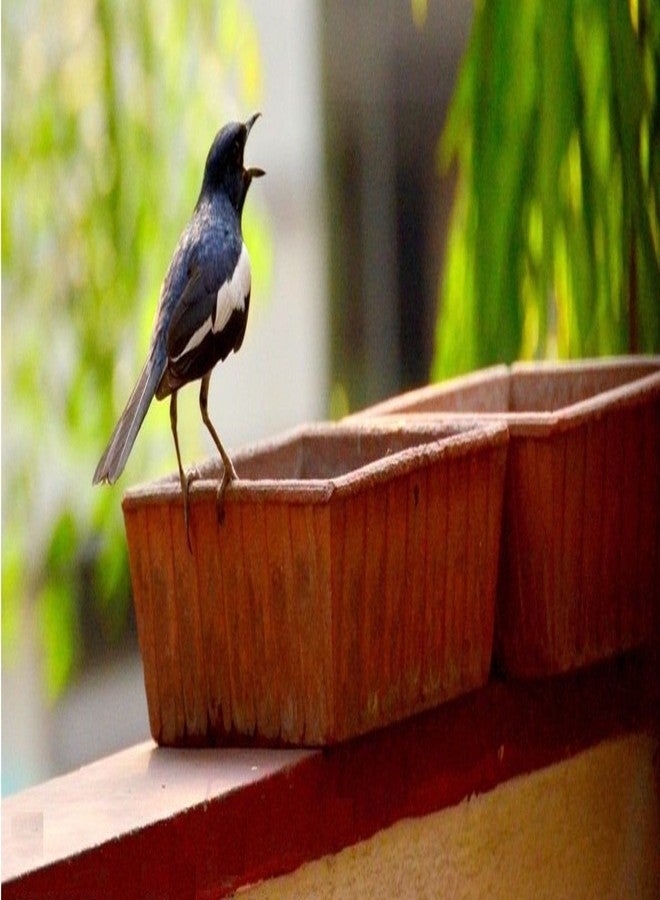 Shriyam Craft Earthen Pot Terracotta Bird Bath, Earth Brown (9X9-Inch) - Image 4